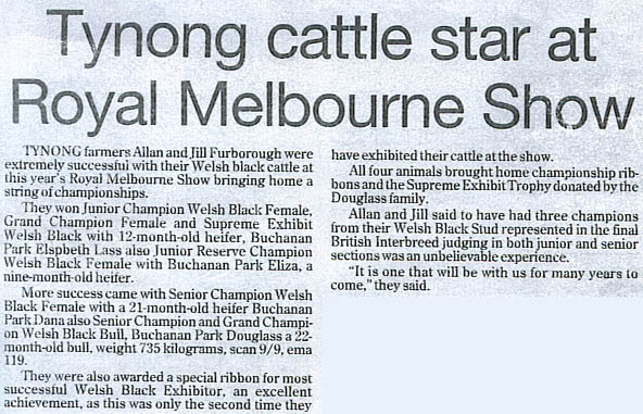 Buchanan Park Welsh Black Cattle Breeding farm Stud Bulls Heifers for sale welsh black cattle breeding farm Victoria Australia